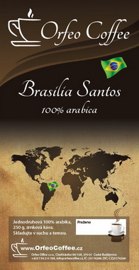 brasil santos